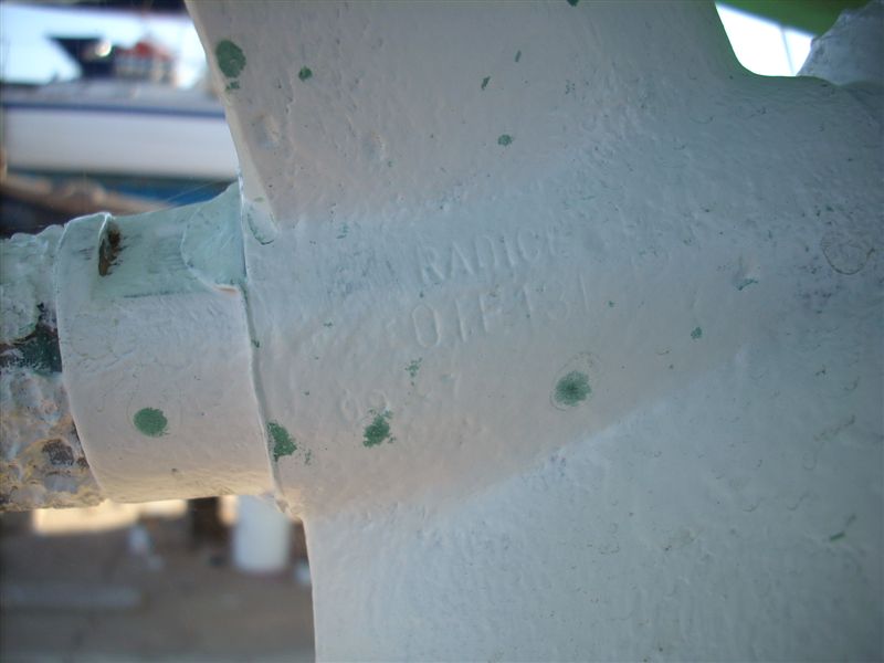 [Immagine: 20096300289_Radice 18.JPG]